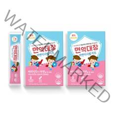 면역대장 아연디시럽 키즈 비타민D 아연 30p, 2개, 300g