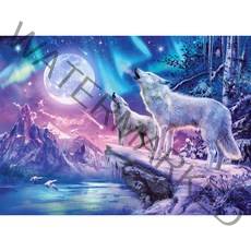 썬앤트리 문라이트 하울링 직소퍼즐 HP505, 500피스, 혼합 색상