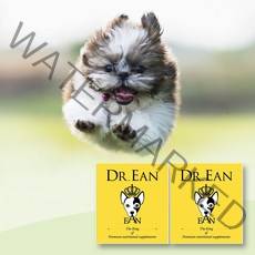 닥터이안 강아지 종합영양제 노견 관절 슬개골 심장 심혈관 신장 간 호흡기 기관지협착증 기침 면역 피부 특허 영양제