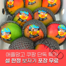 항공직송 프리미엄 고당도 애플망고 선물세트, 로얄과 2kg