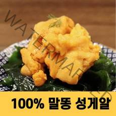 성게알 우니 청정지역 말똥성게알 실중량 100g
