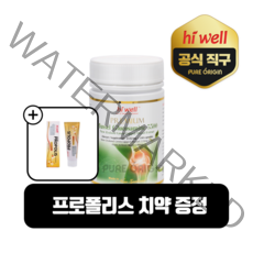 하이웰 뉴질랜드 홍합 글루코사민 5500mg 180캡슐 초록입 초록홍합 그린머슬