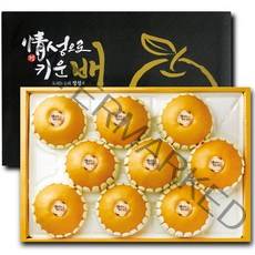 산지직송 프리미엄 꿀 나주배 신고배 가정용 선물용 과일 햇 배 설 추석 명절 선물 세트 대 중 소 한박스 7.5kg 15kg, 1. 나주배 7.5kg (11~12개 내외) 1박스
