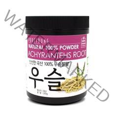 퓨어영 우슬 분말 가루 쇠무릎뿌리, 350g, 1개