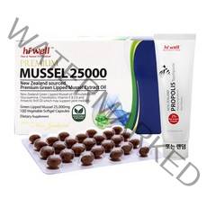 하이웰 프리미엄 뉴질랜드 초록홍합오일 25000mg 100캡슐+프로폴리스치약100g 초고함량 머슬오일 100일분, 100캡슐, 1통