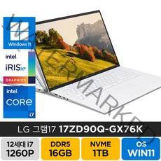 LG전자 2022년형 그램 17인치 17ZD90Q-GX76K 인텔 i7-1260P 윈도우11, WIN11 Pro, 16GB, 1TB, 코어i7, 화이트