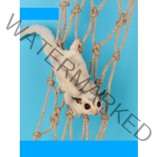 슈가글라이더 그물 날다람쥐 장난감 등반 로프 놀이터, 상세이페이지 참고, 상세이페이지 참고