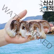 신신해적 자연산 손질 새조개 샤브샤브 500g, 새조개 500g [손질 전 2.5kg]