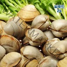 살아있는 활 백생합 1kg 해감 가성비 끝판왕조개 생합조개 백합 구이용 조개탕 찜용
