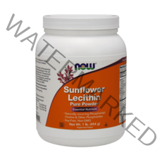나우푸드 선플라워 레시틴 퓨어 파우더, 454g, 1개