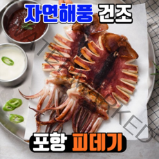 계절식탁 포항 직송 자연해풍 반건조 오징어 국내산 피데기 파지, 중 550g (5미)