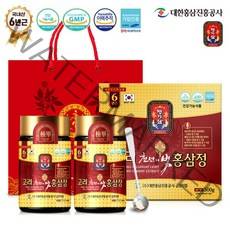 명기삼 고려천년의빛 홍삼정 + 쇼핑백, 250g, 2개입