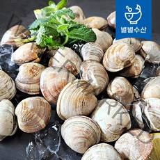 활 백생합 2kg(30미내외) 제철 해감 생합 조개, 백생합 2kg, 1개