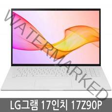 LG전자 그램 17인치 노트북 17Z90P 17ZD90P i5 i7 램8GB SSD256GB 윈도우10, WIN10 Home, 16GB, 512GB, 코어i7, 랜덤