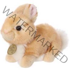 오로라 미요니 봉제인형, 베이지, 14cm