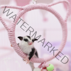 슈가글라이더 앵무새 장난감 고양이 버드링 집 은신처 해먹 포치 유대주머니, 민트