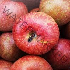 달농 경북 흠집 못난이 부사사과 계절 주스용 사과 10kg, 주스용 흠집사과 10kg (겨울사과)