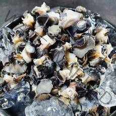 [산지직송] 국내산 왕 논 우렁이 섬진강 우렁이살, 우렁이 1kg(순우렁살700g 물300g)
