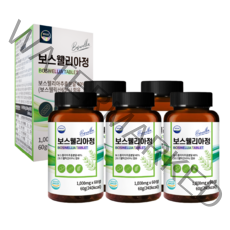웰리즈 프리미엄 인도산 보스웰리아 1000mg X 60정, 300정, 5개