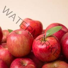 착한식탁 주스용 사과 10kg 랜덤과, [단일상품]