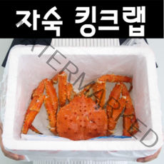 [어부언니] 러시아 킹크랩 자숙 당일발송 2kg 3kg 5kg, 킹크랩2kg