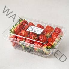국내산 한반도 설향 딸기, 750g, 1팩