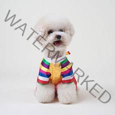 언니오빠 원피스 반려동물 한복, 혼합색상