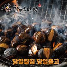 황금 약단밤 생율밤 칼집밤 포르단 공주밤 1kg, 2022 햇 약단밤1kg