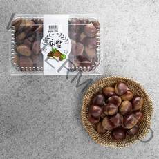 아산율림 햇 밤, 1.5kg(대), 1개