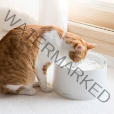 프로젝트21 반려동물 태평양 수반 + 전용글라스 식기 세트, 화이트, 1개