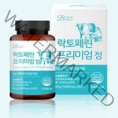 밸런스궁합 락토페린 프리미엄 정 3000mg 고함량 초유 단백질 유산균 60정 2개월분, 1개
