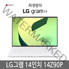 LG전자 2021 그램 14인치 14Z90P i5 램8GB SSD256GB 윈도우10, WIN10 Home, 8GB, 256GB, 코어i5, 랜덤