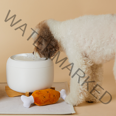 페키움 고양이 강아지 정수기 자동 급수기 음수대 저소음 온도유지, 1.쉿! 정수기 단품