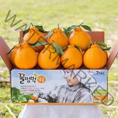 제주 꿀범벅 한라봉 4.5kg 중과(16-25)