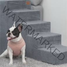 레드퍼피 반려견 스웰 펫스텝 5단, 다크그레이