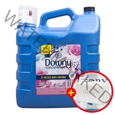 [아이보리비누 증정] 다우니 대용량 섬유유연제 아로마 플로럴 8.5L + 추가구성품, 1set