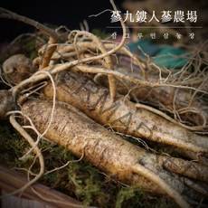 국내산 금산인삼 5 6년근 인삼 수삼 750g 무료세척 난발삼 원수삼, 선택6 뿌리 많은 인삼 대