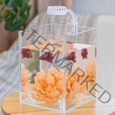 디아망라이트 베타하우스 세트