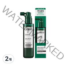 라보에이치 탈모증상완화 노세범 스칼프 토닉, 2개, 80ml