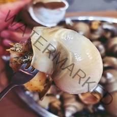 찐자매 동해안 산지직송 자연산 100% 백골뱅이 1kg 500g 소 중 대 특대, 500g 중(20미 내외), 1개