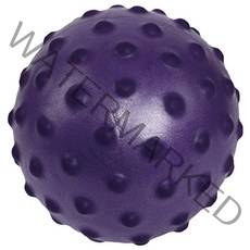바디아트 미니 마사지 짐볼, 퍼플