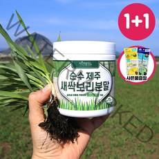 순수 제주 새싹보리 분말 에어분쇄 저온건조 보리어린잎 자연밭담, 1+1개, 170g