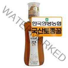 한국양봉농협 야생화 꿀, 500g, 1개