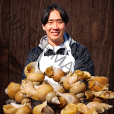 [산지직송] 100% 국산 프리미엄 백골뱅이 생물 당일바리 동해 포항 500g/1kg 소 중 대 특대, 1kg 특대 (15미 내외), 1팩