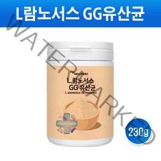 LGG유산균 분말 가루 신바이오틱스 프로바이오틱스 프리바이오틱스 3세대 유산균 락토바실러스 L 람노서스 GG 엘지지유산균 생존 장내유익균 대용량 효능, 1EA, 230그람(g)