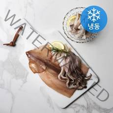 국산 손질 오징어 (냉동), 600g, 1개