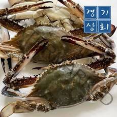 경기상회 국내산 가을 햇꽃게 숫꽃게 특대 대사이즈 급냉 1kg 2kg 3kg, 3kg(9~12마리)
