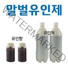 친환경 장수 말벌 퇴치기 포획기 제거기 DM-B10, 말벌포획기유인제+유인향2+2