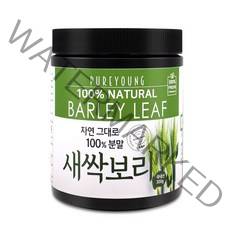 퓨어영 국산 새싹보리 분말 가루, 300g, 1통