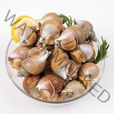 엄마농수산 생물 골뱅이 백골뱅이 백고동 탕 무침 비빔면 1kg 500g, 1kg 소 (50미 내외)